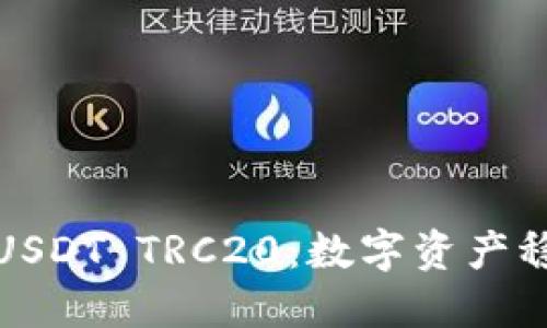 : 深入探讨USDT TRC20：数字资产稳定币的未来