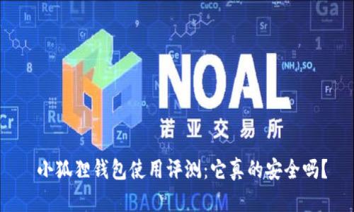  小狐狸钱包使用评测：它真的安全吗？