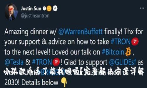 小狐狸币丢了能找回吗？完整解决方案详解