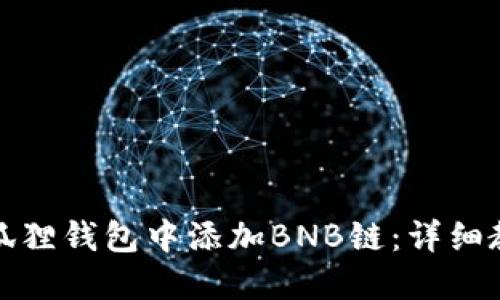 如何在小狐狸钱包中添加BNB链：详细教程与解答