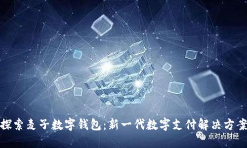 探索麦子数字钱包：新一代数字支付解决方案