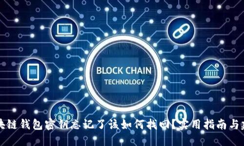 区块链钱包密钥忘记了该如何找回？实用指南与建议