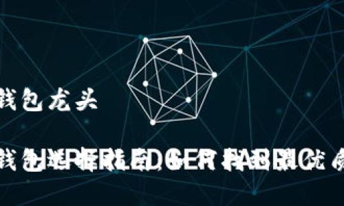 数字货币冷钱包龙头 

数字货币冷钱包选择指南：如何找到最优质的解决方案