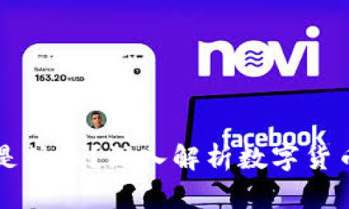 区块链交易的钱包是什么？深入解析数字货币钱包的功能与类型