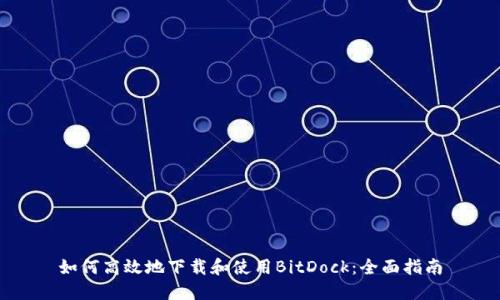 如何高效地下载和使用BitDock：全面指南