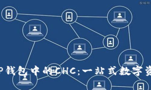 探索区块链 TP钱包中的CHC：一站式数字资产管理的未来