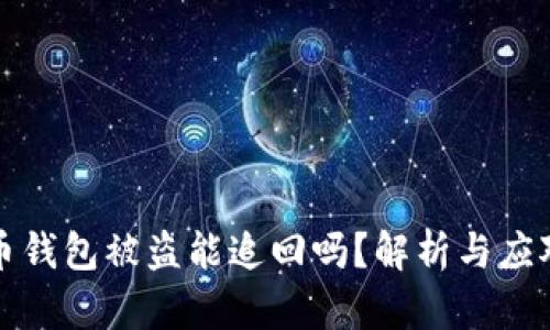 虚拟币钱包被盗能追回吗？解析与应对策略