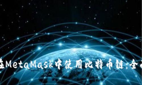 如何在MetaMask中使用比特币链：全面指南