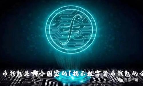 题目：万币钱包是哪个国家的？揭示数字货币钱包的全球背景